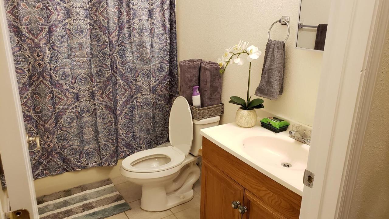 Modern House Minutes From Downtown Gainesville, Uf, Va & More! מראה חיצוני תמונה